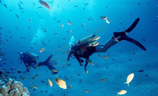 来了毛里求斯就不错过这些娱乐体验2