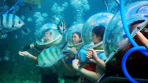 来了毛里求斯就不错过这些娱乐体验3