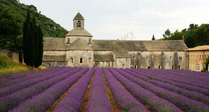 去普罗旺斯度假不可以错过的地方之阿维尼翁2