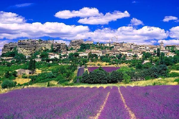 普罗旺斯观赏薰衣草攻略,慢慢体会她的美好5