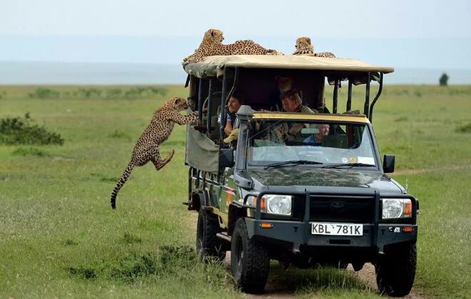 斯里兰卡旅游景点大全，也能体验到“非洲风情”2