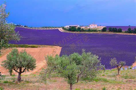 普罗旺斯都有哪些遗迹景点是必打卡的?5