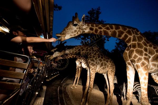 第一次去清迈旅游，被它深深吸引住了6