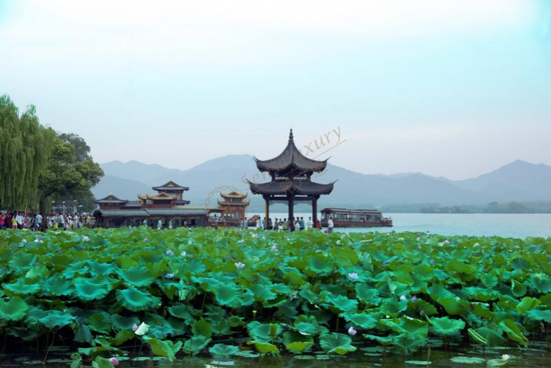 五一去杭州旅游需要多少费用，杭州旅游花销6