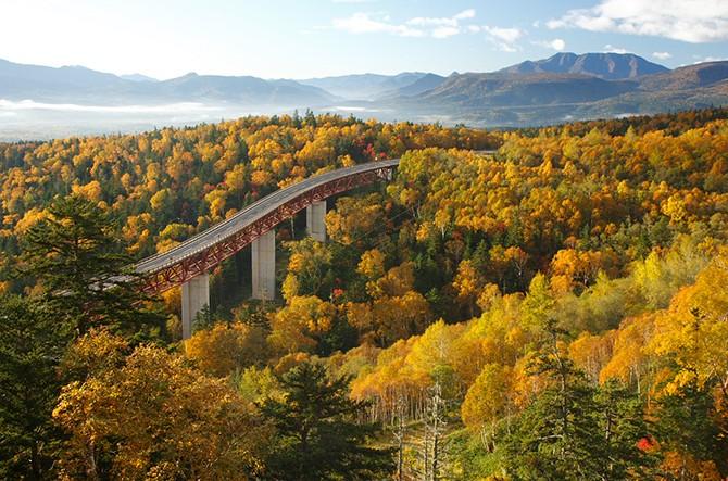 暑期可以带着孩子们去北海道看看异国风情3