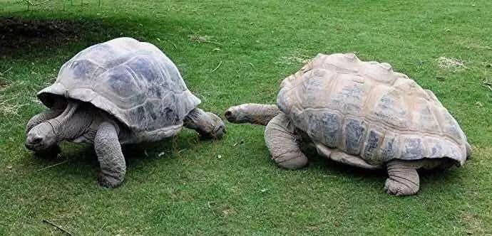 在塞舌尔旅游度假，都有什么景点可以玩的？5