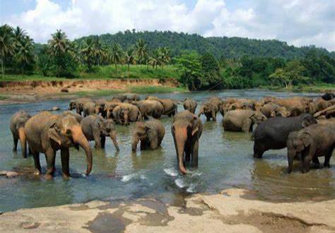 斯里兰卡六大必游景点，体验海岛国家的无穷魅力2