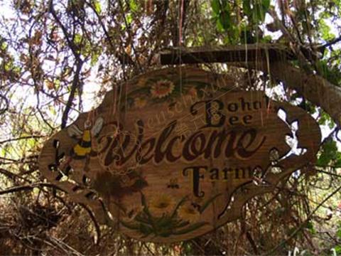 薄荷岛都有哪些娱乐体验活动？3