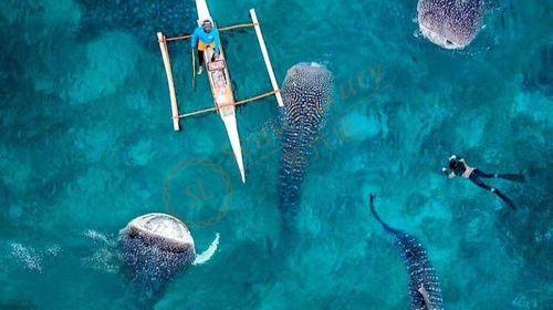 去薄荷岛度假必带的浮潜攻略1