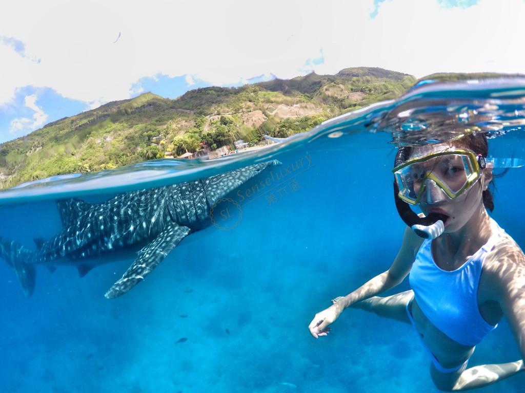去薄荷岛度假必带的浮潜攻略3