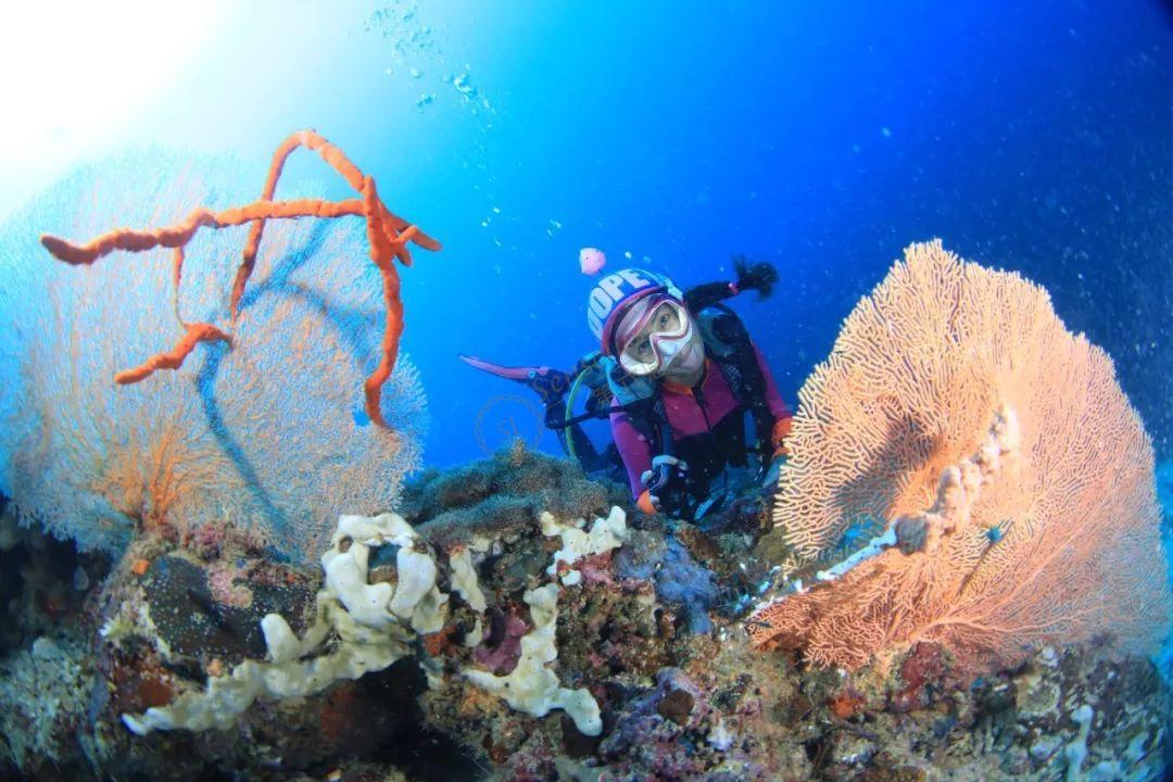 去薄荷岛度假必带的浮潜攻略5