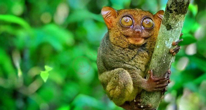 去薄荷岛度假必带的浮潜攻略6