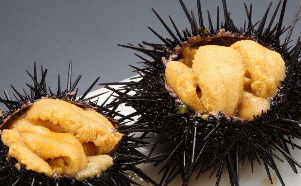 菲律宾热门岛屿之薄荷岛不可错过的事情3