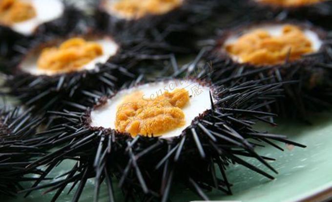 菲律宾最美的岛屿，薄荷岛游玩攻略大全2