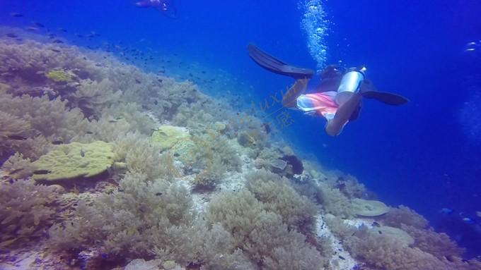 菲律宾最美的岛屿，薄荷岛游玩攻略大全7