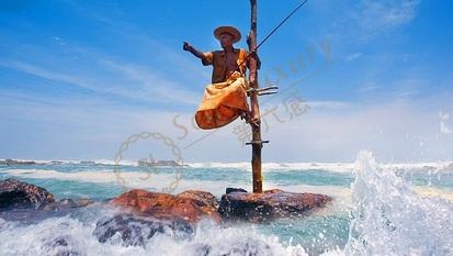 斯里兰卡旅游基本手册，必备请收藏！6