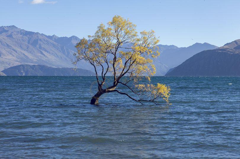 新西兰值得一游的几处景点推荐1