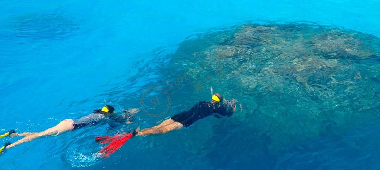 来马尔代夫不得不体验的几个活动3