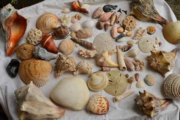 为大家挑选一些去长滩岛旅游必入手的特产4