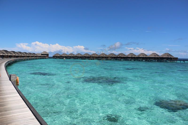 推荐两个马尔代夫豪华岛屿，绝对赞~3