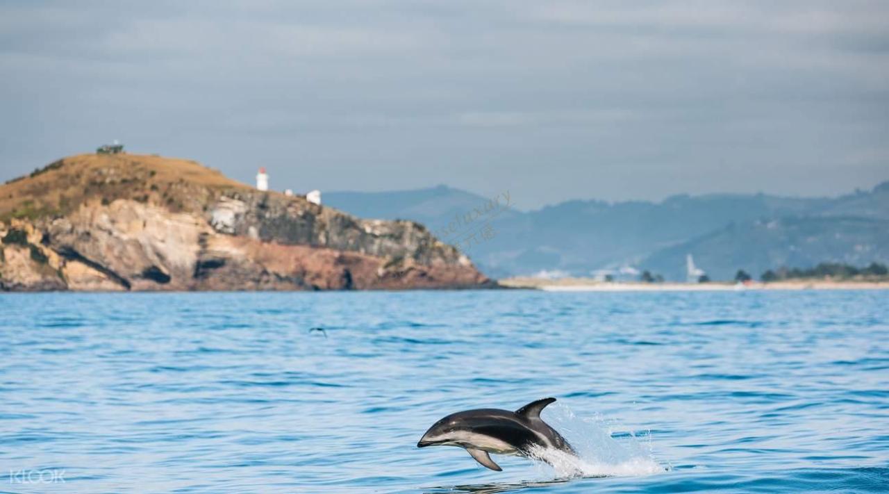 去新西兰度假什么季节最合适?3