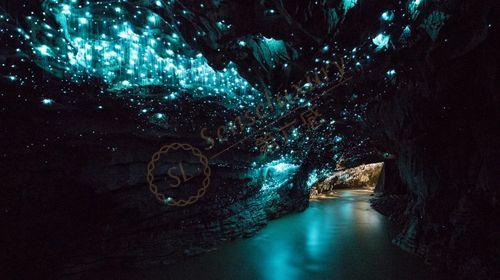 新西兰旅游都有哪些必须要体验的地方1