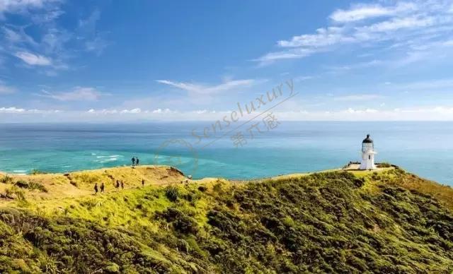 去新西兰旅游选哪个城市比较好？1