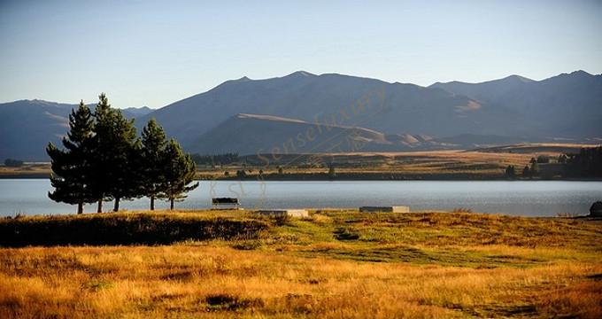 去新西兰旅游选哪个城市比较好？5