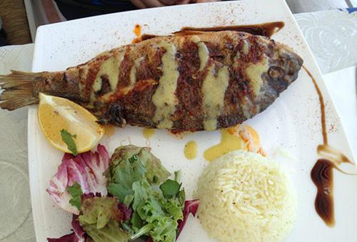 希腊除了感受浪漫，美食也充满了诱惑6