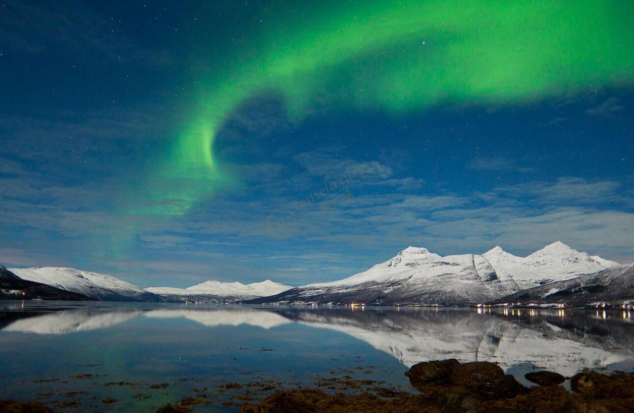 什么时候去芬兰看极光最佳,开启芬兰极光之旅1