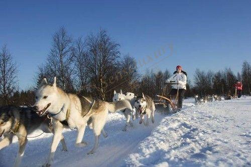 什么时候去芬兰看极光最佳,开启芬兰极光之旅5