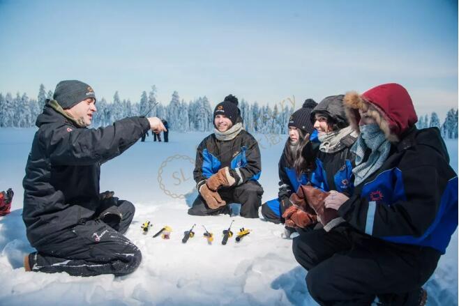 什么时候去芬兰看极光最佳,开启芬兰极光之旅7