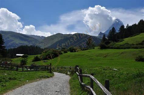 去一次采尔马特大概需要多少预算?3