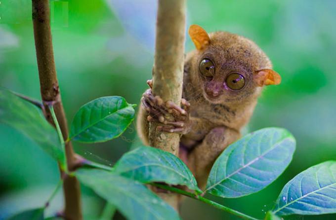 薄荷岛一日游，吃喝玩乐样样俱全4