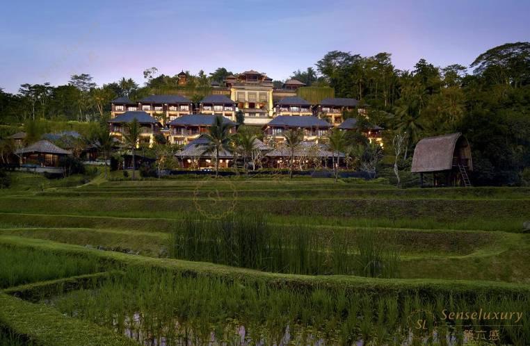 巴厘岛的网红酒店，住过你就不想走了！5