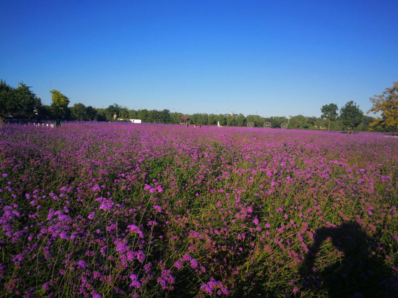 北京除了常见的大众景点，还有哪些小众景点值得一去1
