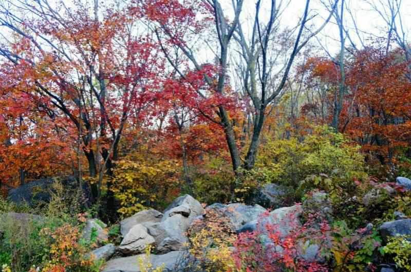 北京除了常见的大众景点，还有哪些小众景点值得一去3