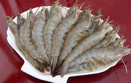 溧阳旅游攻略大全，带你玩转整个暑假4