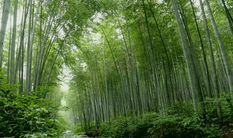 溧阳必玩景点都有哪些，一起来看一下吧1