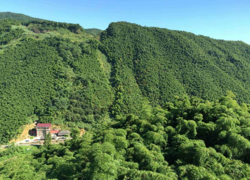 自助旅游选择安吉景点的好处有哪些5