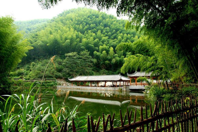 大家知道什么时候去安吉旅游最好吗?5