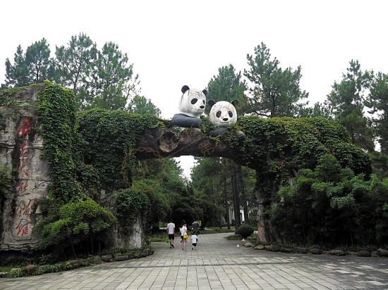 大家知道什么时候去安吉旅游最好吗?6