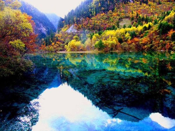 在暑假期间国内都有哪些好玩又凉爽的地方呢?2