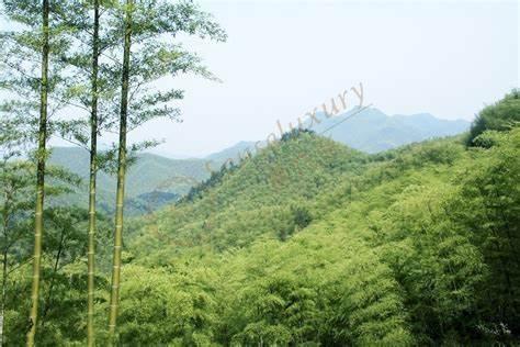 安吉都有哪些好玩的景点，感兴趣的朋友来关注一下1