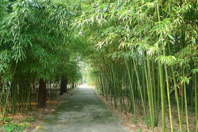 安吉都有哪些好玩的景点，感兴趣的朋友来关注一下4