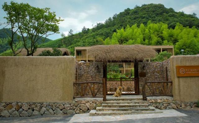 在莫干山露营都有哪些基地和活动推荐？2