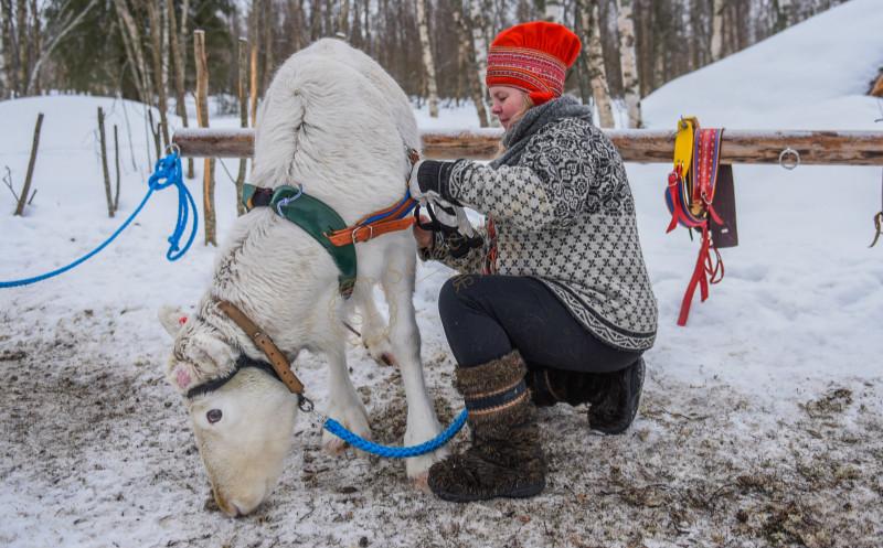 在芬兰游玩，都有哪些好玩的地方推荐？2