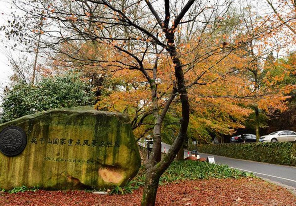 莫干山最佳红枫观赏地，这些地点都不可以错过3