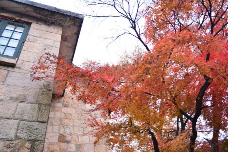 莫干山最佳红枫观赏地，这些地点都不可以错过5