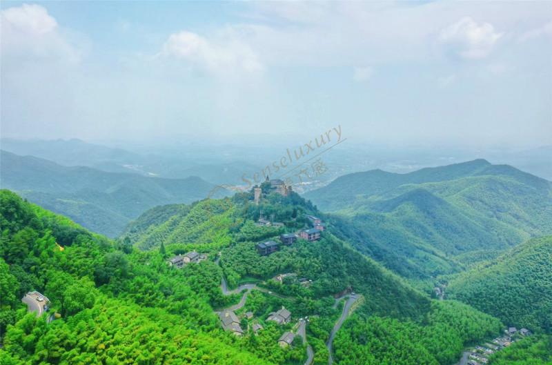 炎炎夏日，莫干山和天目山哪个更适合亲子游2